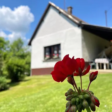 Ildiko Vendeghaz Holiday home Magyarszombatfa